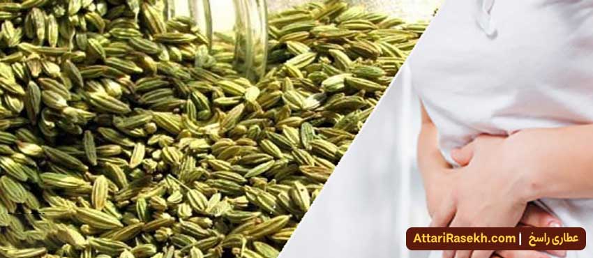 Properties of cumin-for stomach-treatment