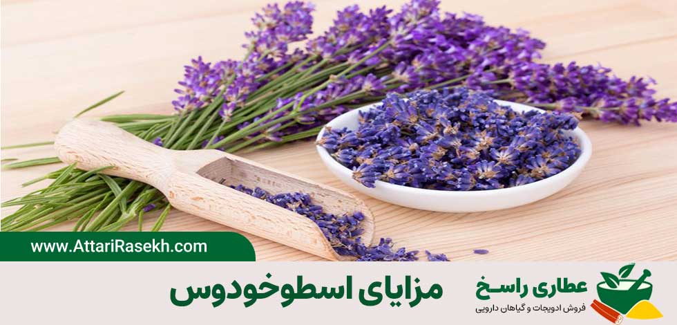 Benefits of lavender